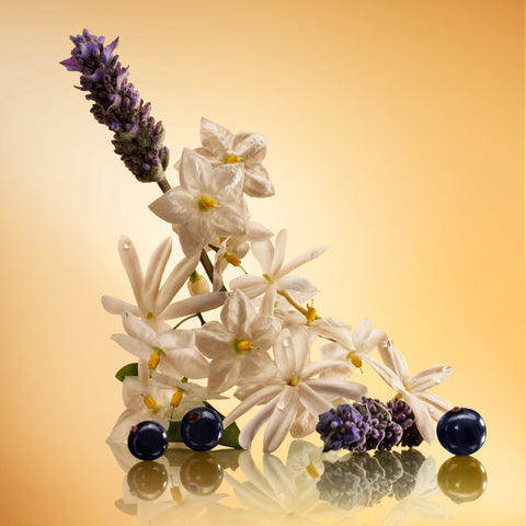 STAR CONFIDENCE 50 ML FRAGRANCE