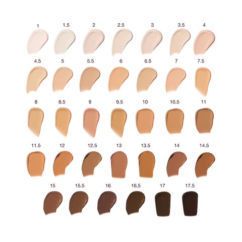 AIRBRUSH FLAWLESS TOUCH-UP & GO KIT FACE KIT